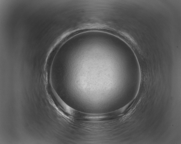 X0000084561414200702231220