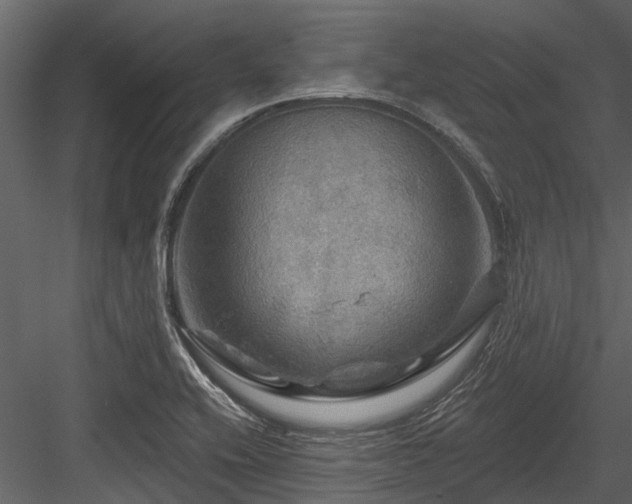 X0000084561416200702231220