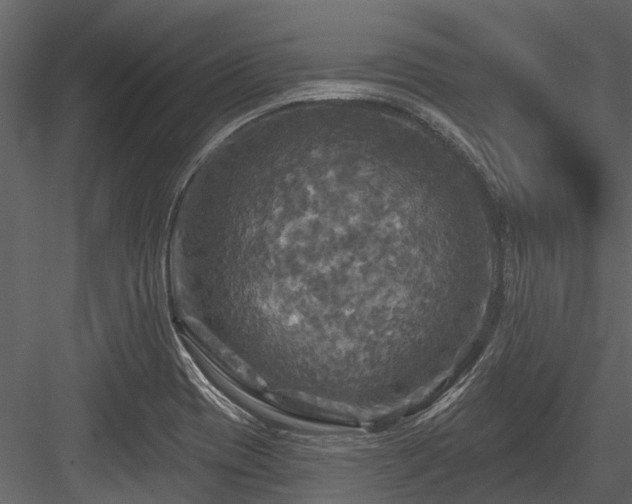 X0000084561417200702231220