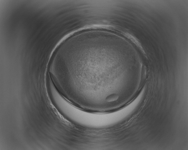 X0000084561420200702231220