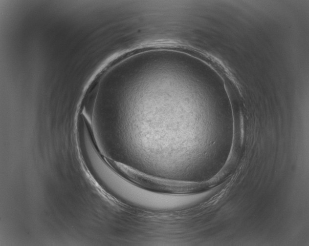 X0000084561422200702231220