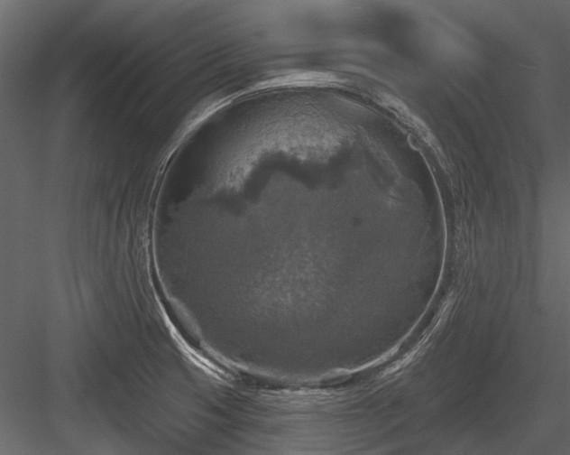 X0000084561425200702231220