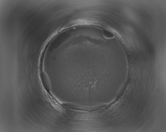 X0000084561427200702231220