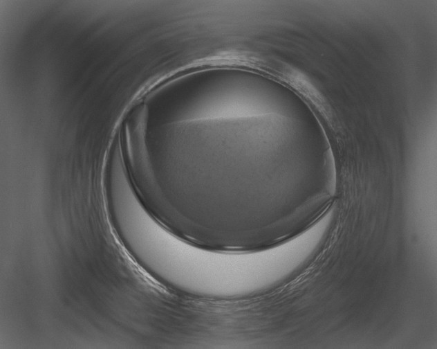X0000084561428200702231220