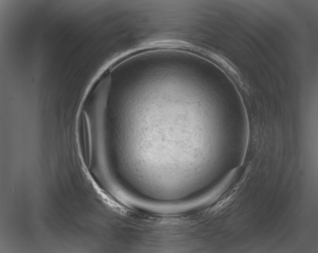 X0000084561430200702231220