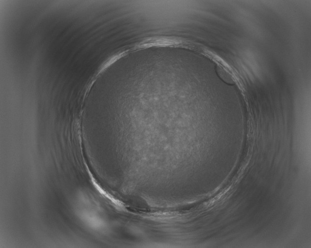 X0000084561433200702231220
