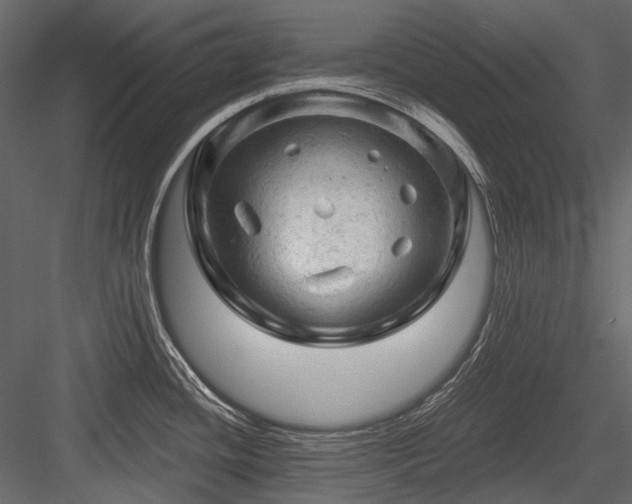 X0000084561436200702231220