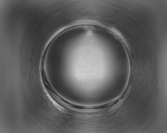 X0000084561438200702231220