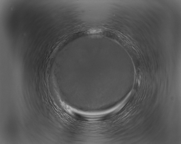 X0000084561441200702231219