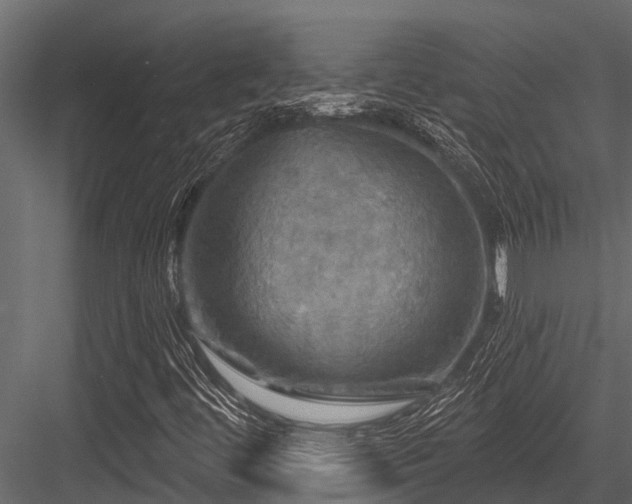X0000084561444200702231219