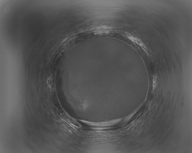 X0000084561445200702231219