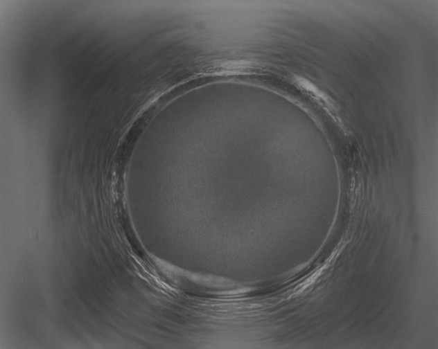 X0000084561449200702231219