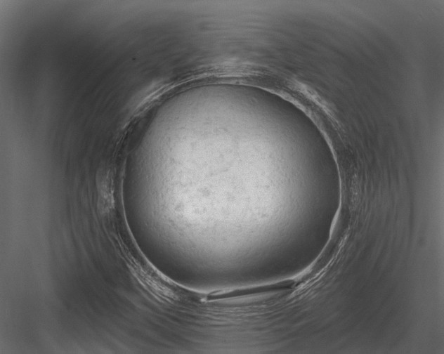 X0000084561451200702231219