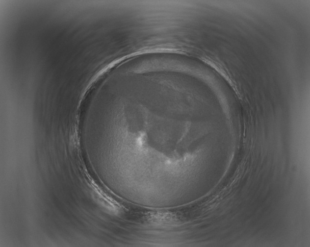 X0000084561452200702231219