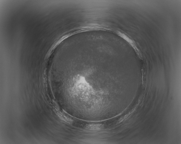 X0000084561453200702231219