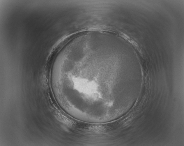 X0000084561454200702231219