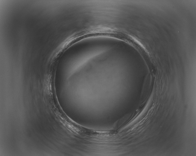 X0000084561455200702231219