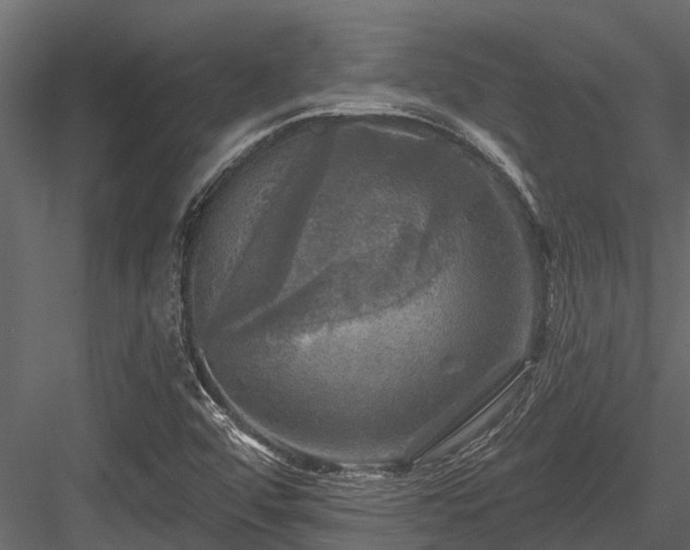 X0000084561456200702231219