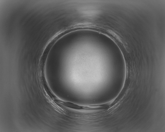 X0000084561458200702231219