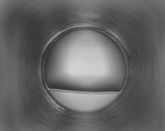 X0000084561460200702231219