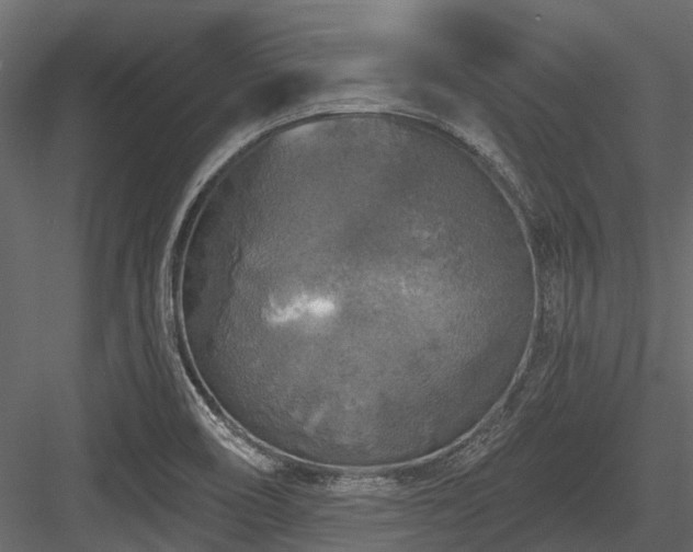 X0000084561466200702231219