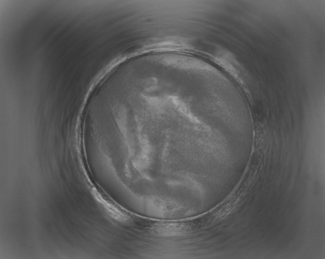 X0000084561474200702231219