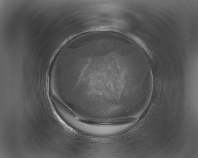 X0000084561476200702231219