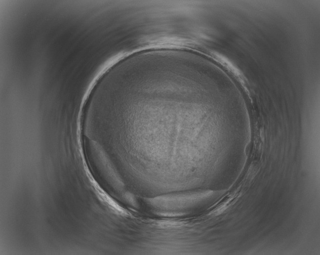 X0000084561480200702231219