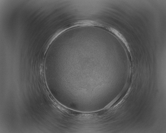 X0000084561481200702231219