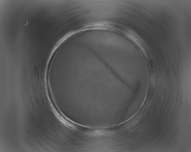 X0000084561482200702231219