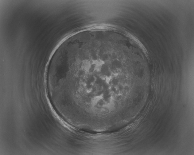 X0000084561483200702231219