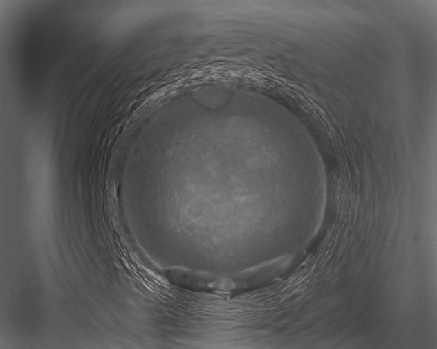 X0000084561489200702231218