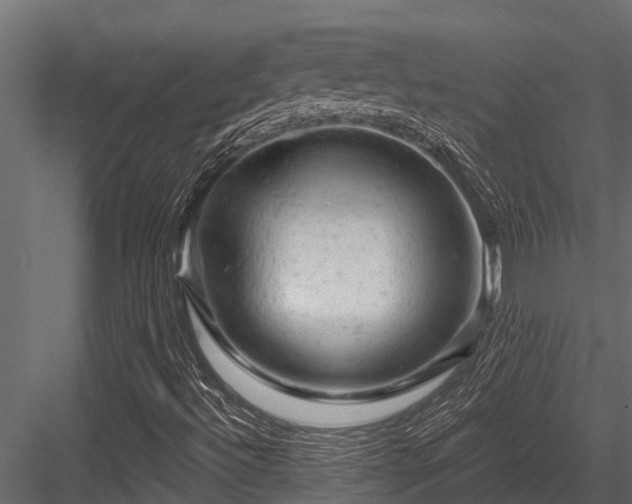 X0000084561492200702231218