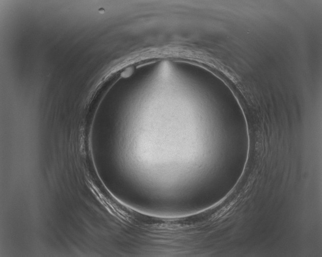 X0000084561499200702231218