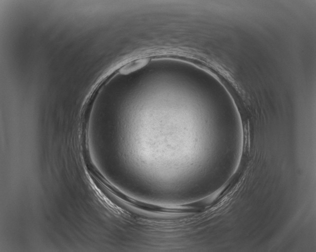 X0000084561500200702231218