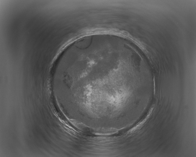 X0000084561501200702231218