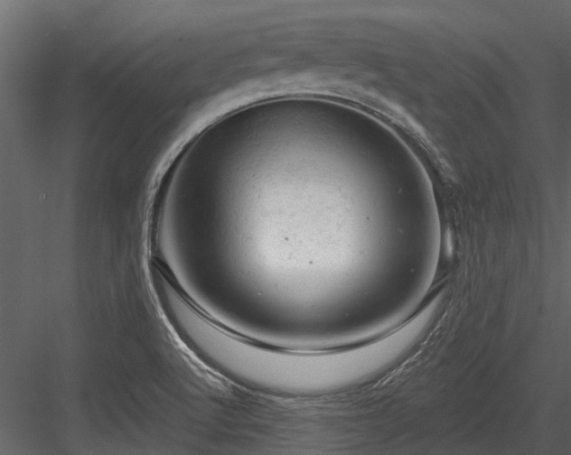 X0000084561512200702231218