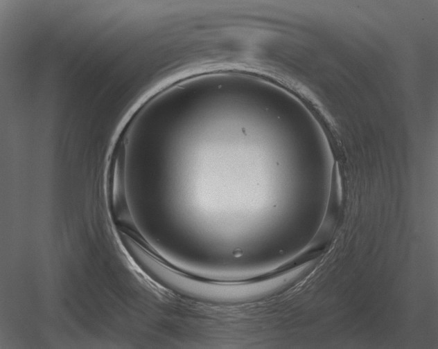 X0000084561516200702231218
