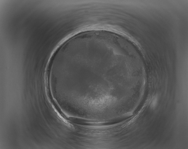 X0000084561517200702231218