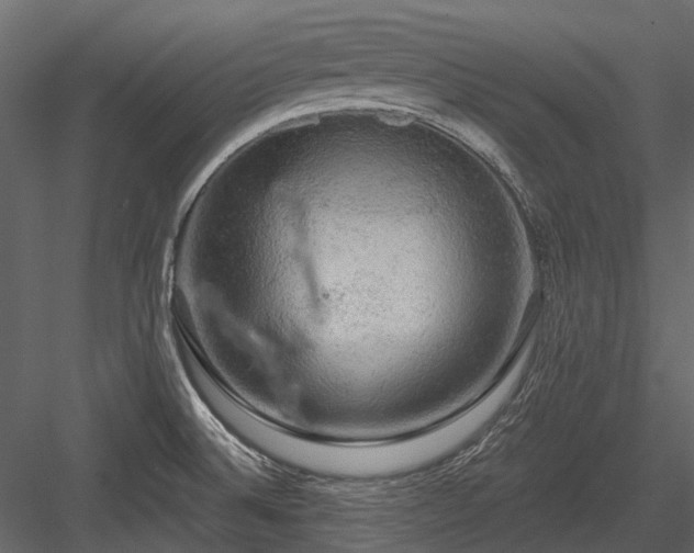 X0000084561524200702231218