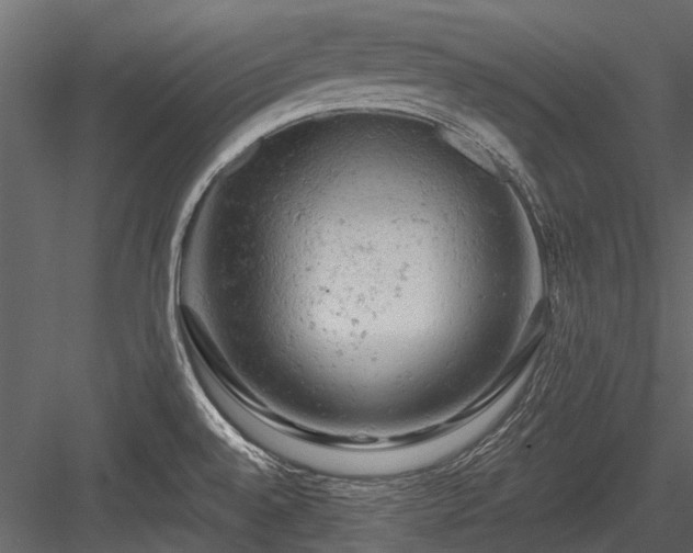 X0000084561528200702231218