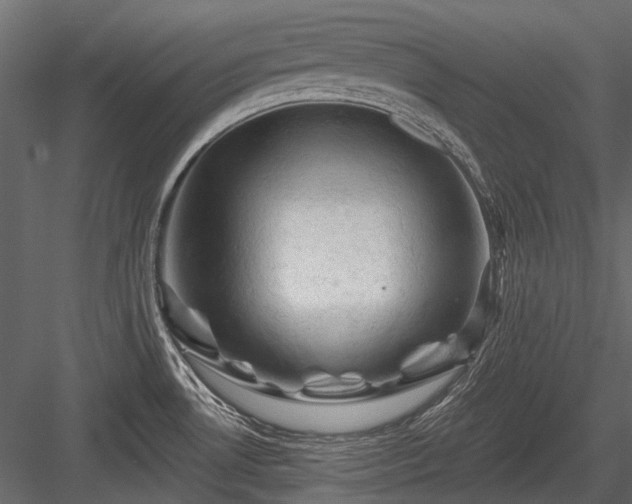 X0000084561530200702231218
