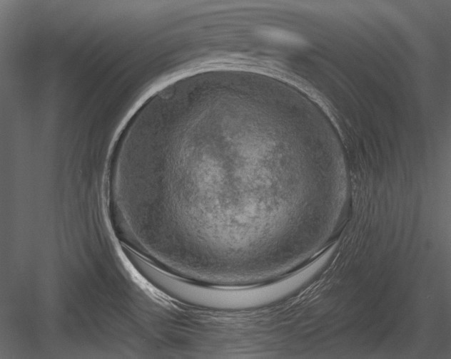 X0000084561531200702231218