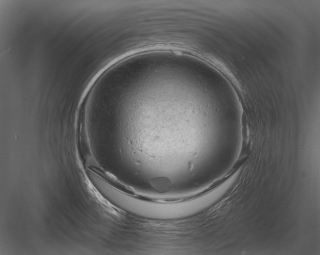 X0000084561532200702231218
