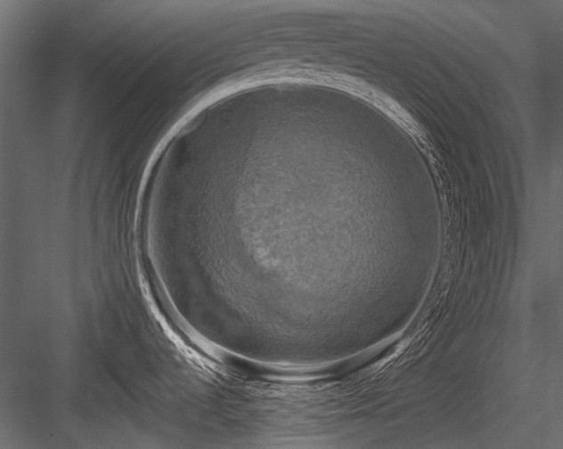 X0000084561536200702231218