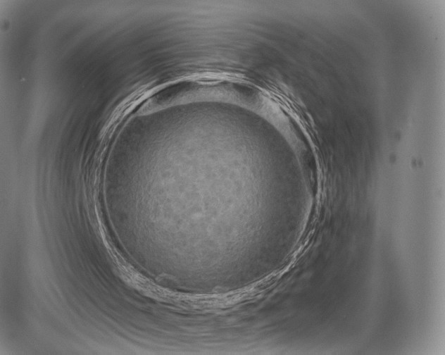 X0000084560001200703021435