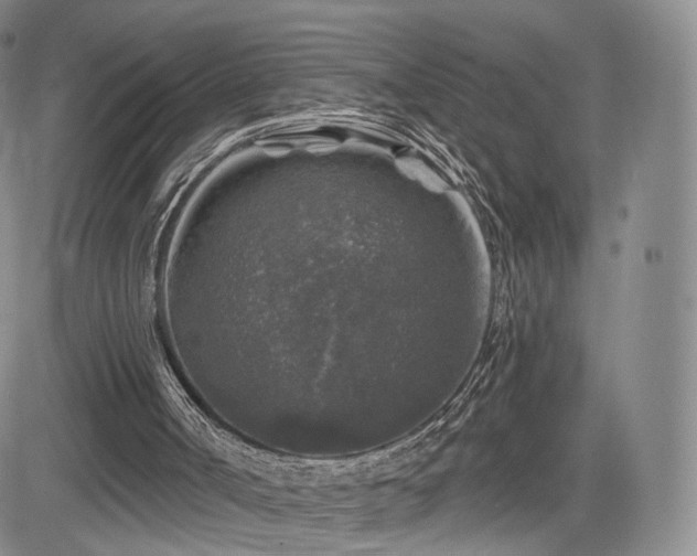 X0000084560002200703021435