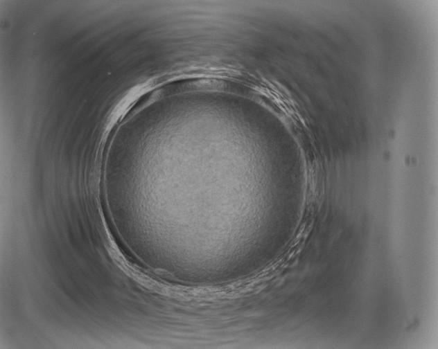 X0000084560003200703021435