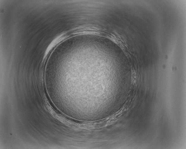 X0000084560004200703021435