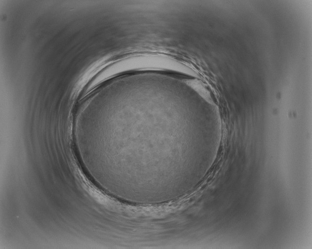 X0000084560005200703021435